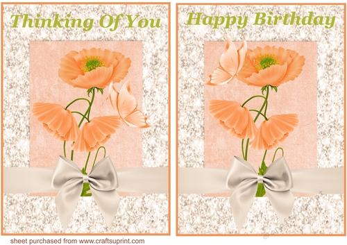 Thinking of you and Happy Birthday orange poppy card fronts