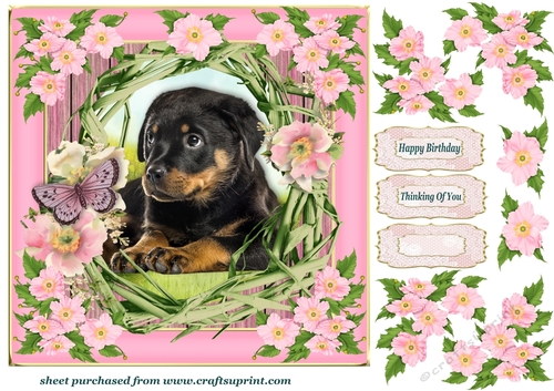Floral wreath pup card front 8