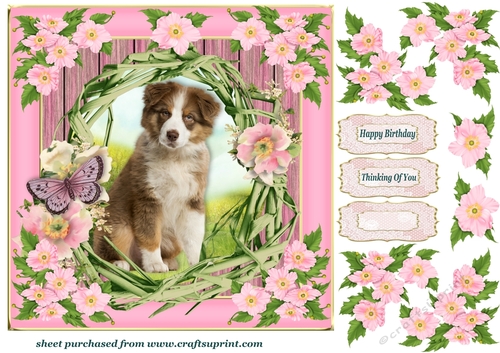 Floral pup card front D