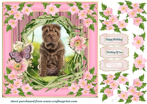 Floral pup card front G