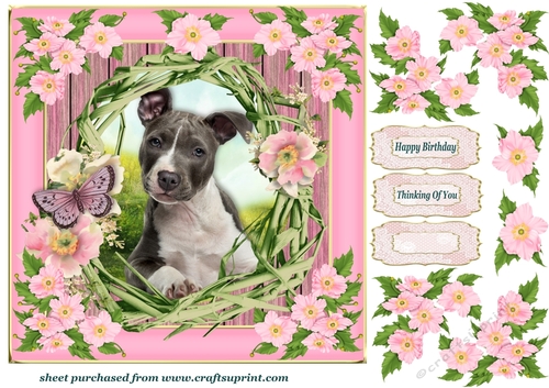 Floral pup card front I