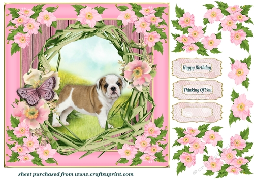 Floral pup card front J