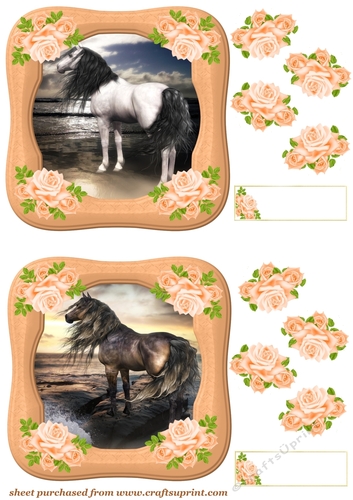 2 Floral horse toppers 1