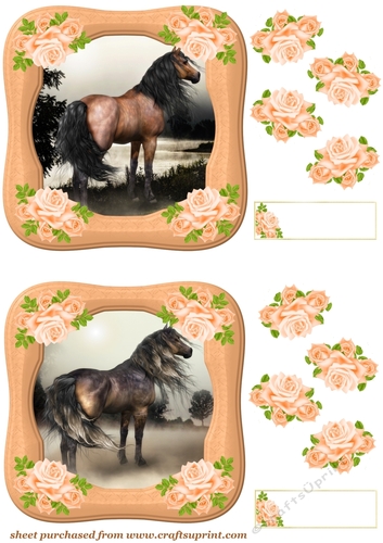 2 Floral horse toppers 2