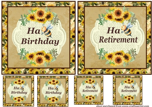Habee Birthday/Retirement card front and toppers
