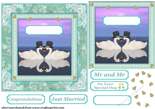 Mr and Mr Swan wedding card front