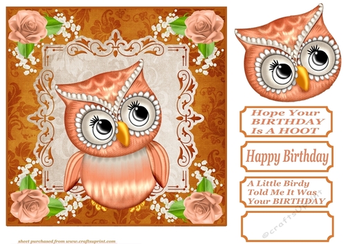 Orange Birthday owl card front