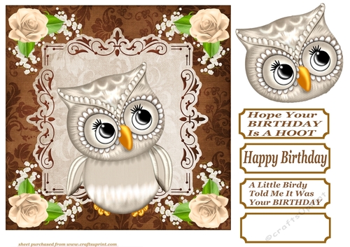 Cookies and Cream Birthday owl card front