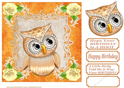 Citrus owl Birthday card front