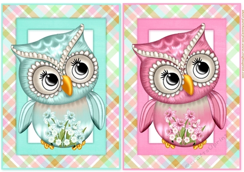 2 Floral owl card fronts/toppers