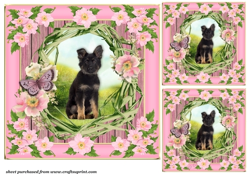 3 Floral pup card front/toppers 1