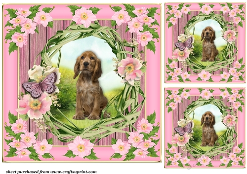 3 Floral pup card front/toppers 2