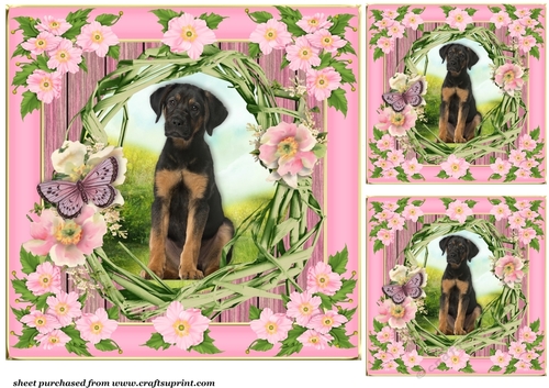 3 Floral pup card front/toppers 3