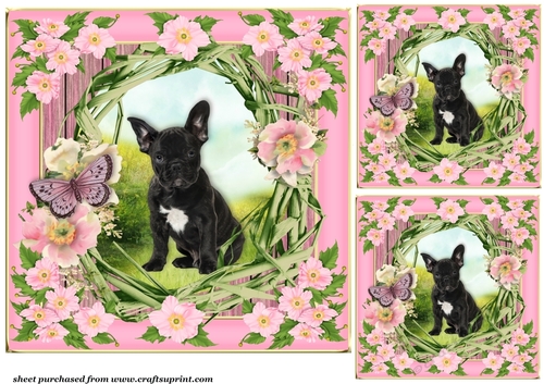 3 Floral pup card front/toppers 4