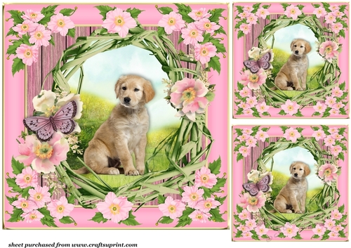 3 Floral pup card front/toppers 5
