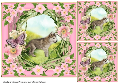 3 Floral pup card front/toppers 6