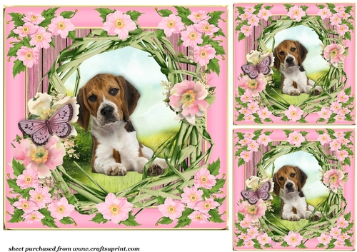 3 Floral pup card front/toppers 8