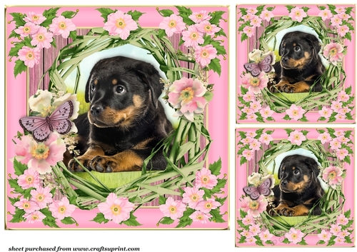 3 Floral pup card front/toppers 9