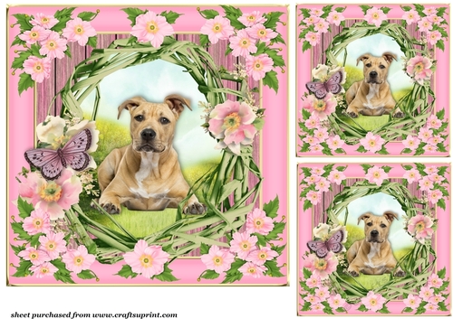 3 Floral pup card front/toppers 10