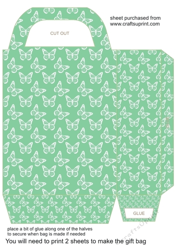 Green butterfly gift bag 1