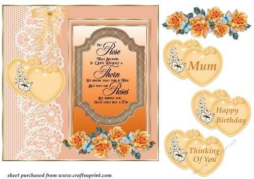 Orange rose assorted sentiment card front