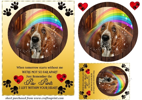 Pet loss card front F