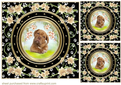 3 Floral paw print dog card front/toppers 7