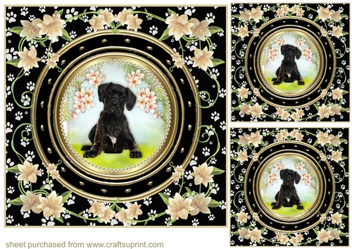 3 Floral paw print dog card front/toppers 8