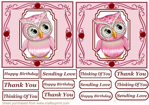 2 Pink owl toppers