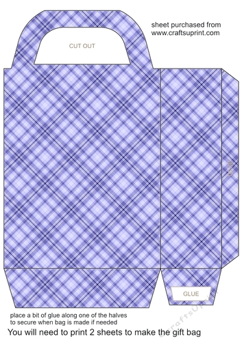 Check gift bag 4