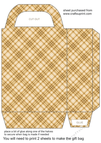 Check gift bag 5