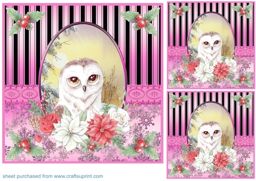3 Pink Christmas owl card front/toppers 1