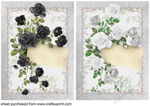 2 White/grey and black rose note card fronts