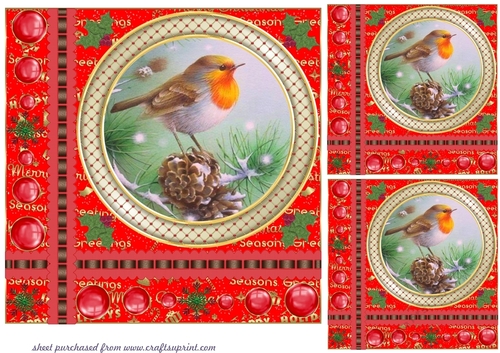 3 Red Christmas robin word card base card front/toppers 1
