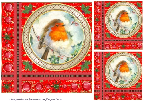 3 Red Christmas robin word card base card front/toppers 4