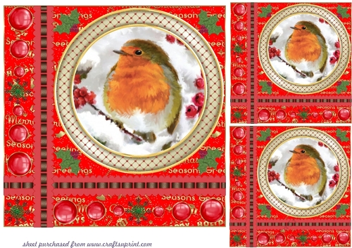 3 Red Christmas robin word card base card front/toppers 7