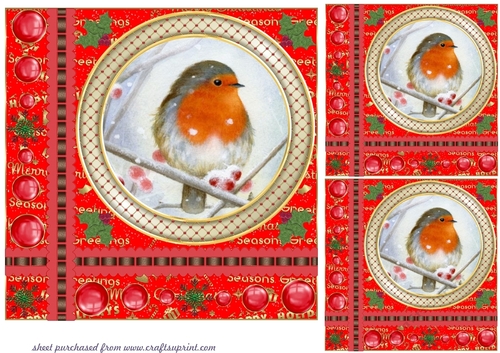 3 Red Christmas robin word card base card front/toppers 8
