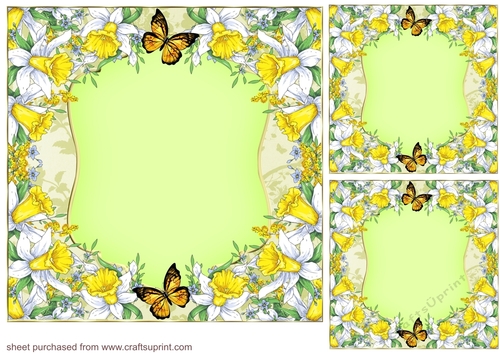 3 Daffodil card front/topper blanks