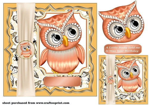 Orange little birdy card front