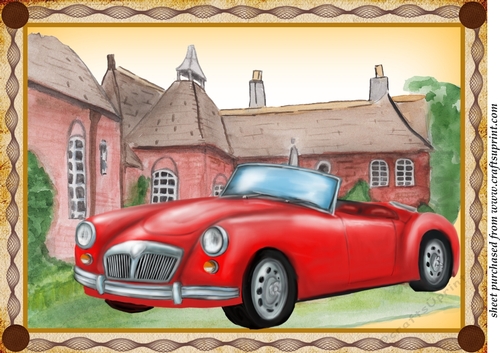 Large vintage car topper 5
