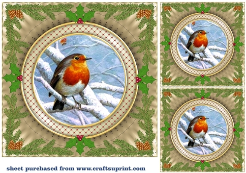 3 Gold Christmas robin card front/toppers 5