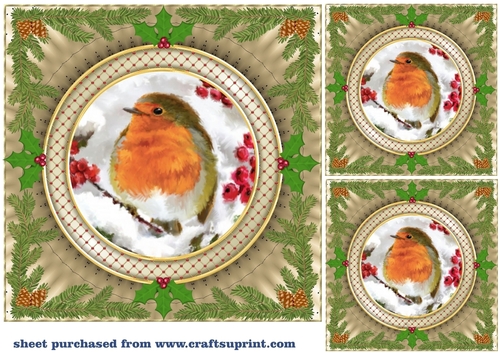 3 Gold Christmas robin card front/toppers 7