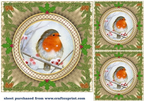 3 Gold Christmas robin card front/toppers 8