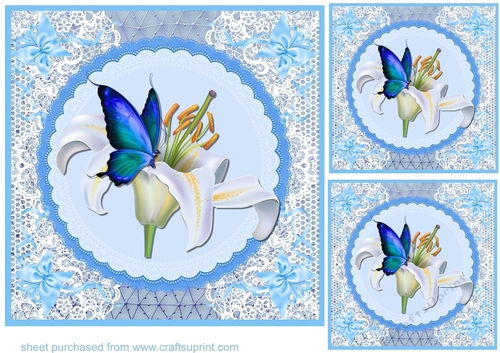 3 Blue lace floral butterfly card fronts