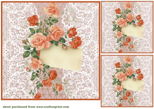 3 Peach lace rose notelet card front/toppers 