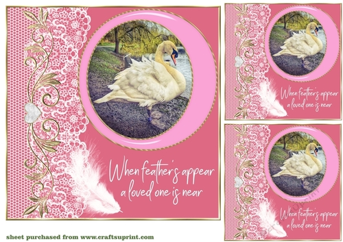 3 Pink swan A feather card front/toppers