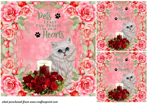 3 Cute floral cat card front/topper(with sentiment)