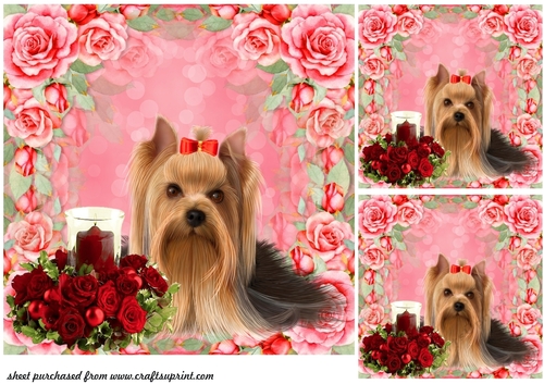 3 Cute rose Yorkie card front/toppers
