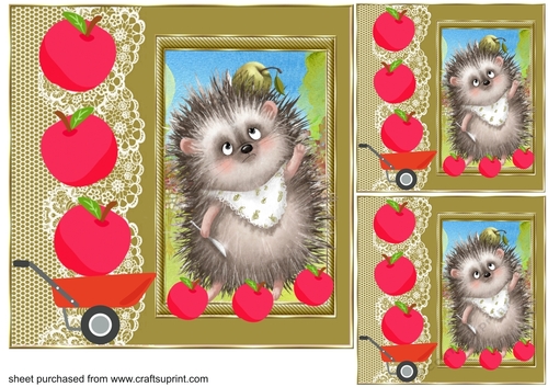 3 Hedgehog with apples card front/toppers