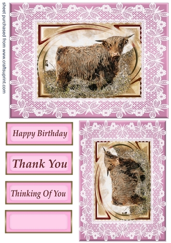 Pink butterfly frame highland cow card front